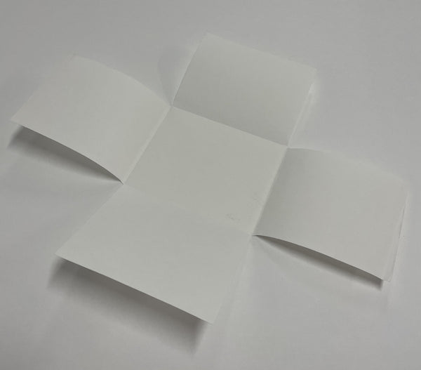 Glass Plate Negative Enclosure 6 x 8" (NAC)
