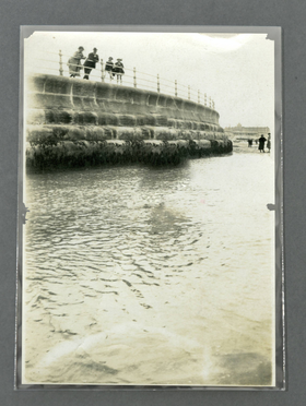 Polyester Enclosures + Pages