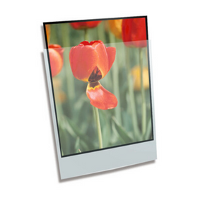 Polypropylene Enclosures + Pages