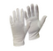 Extra Large Garment Box Bundle