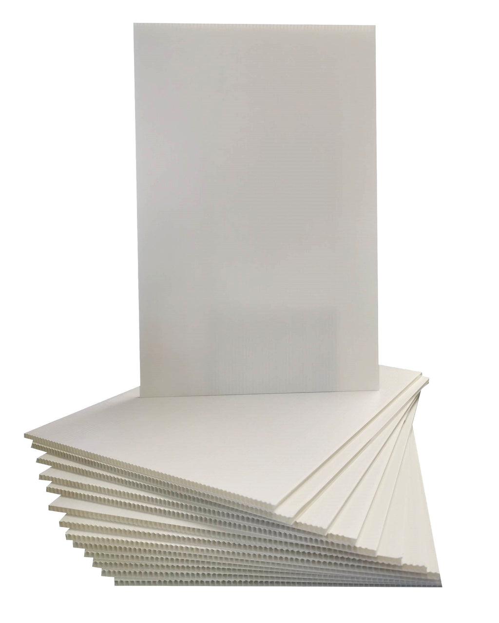 Polypropylene Backing Card A5 – Conservation Supplies