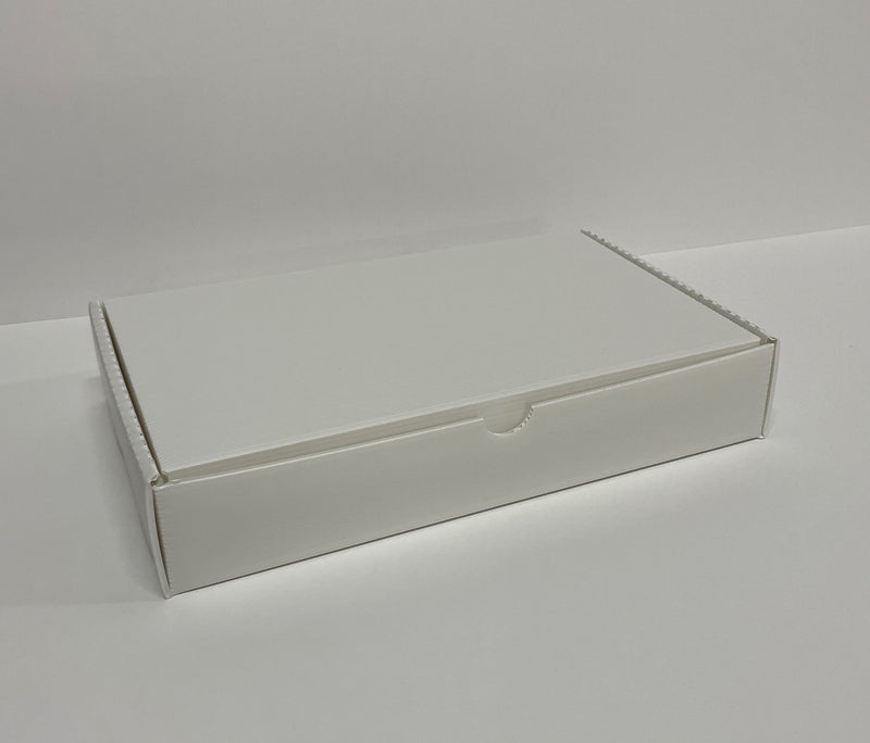 Polypropylene Hinged Document Box