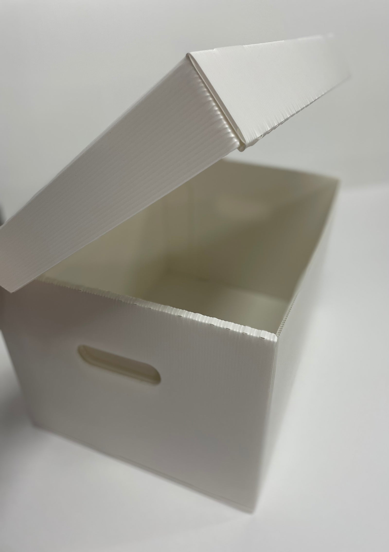 Polypropylene File Box – Conservation Supplies