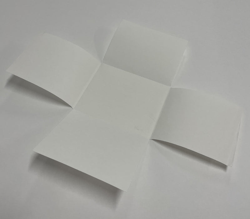 Glass Plate Negative Enclosure 6 x 8" (NAC)
