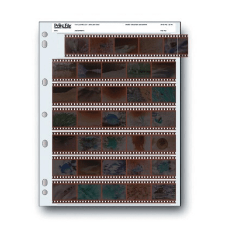 Polyethylene 35mm Negative Page 7 Strips