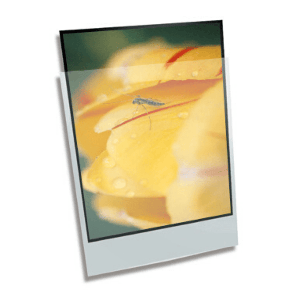 Polyethylene Enclosure - 22 x 30" 559mmx762mm