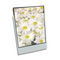 Polypropylene Enclosure - 9 x 12" 229mmx305mm