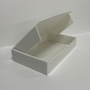 An open white polypropylene hinged lid document box.